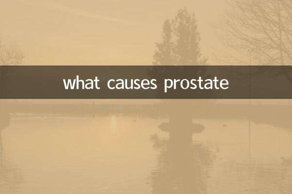 quelles sont les causes de la prostate