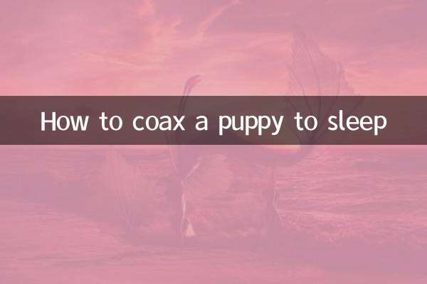 강아지를 달래서 재우는 방법