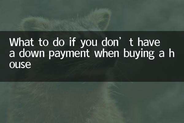 ماذا تفعل إذا لم يكن لديك دفعة أولى عند شراء منزل