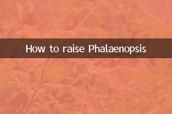 Wie man Phalaenopsis züchtet