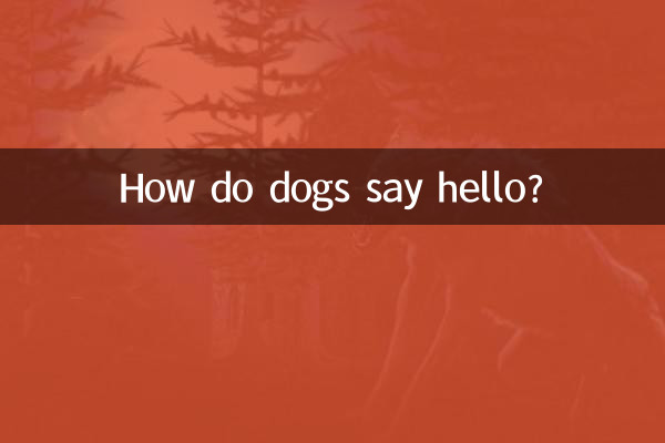 狗狗怎麼打招呼