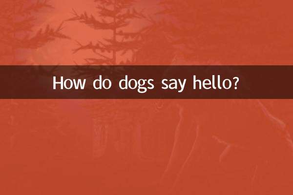 Wie sagen Hunde Hallo?