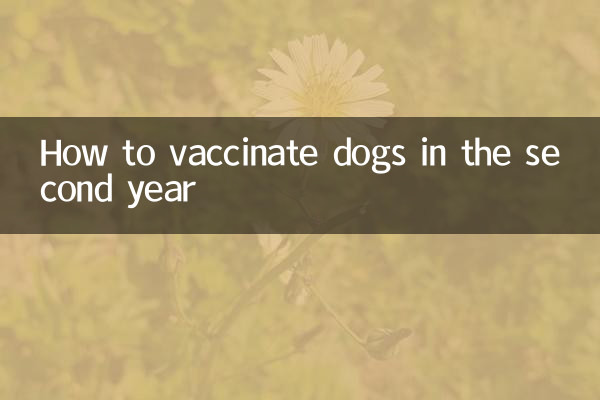 How to vaccinate dogs in the second year