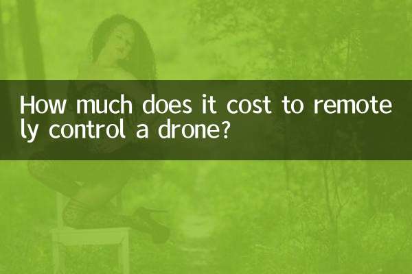 How much does it cost to remotely control a drone?