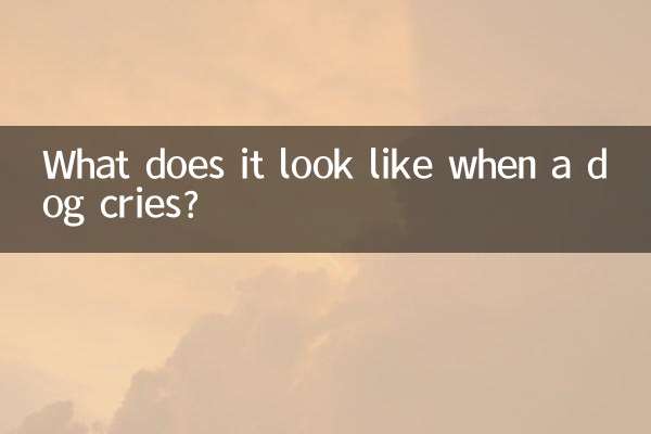 What does it look like when a dog cries?