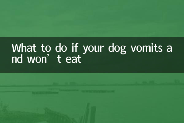 What to do if your dog vomits and won’t eat