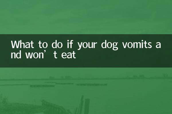 What to do if your dog vomits and won’t eat