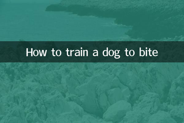 犬に噛み癖を付ける訓練方法