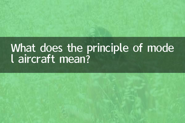 Was bedeutet das Prinzip Modellflugzeug?