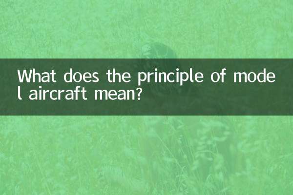 모형 항공기의 원리는 무엇을 의미합니까?
