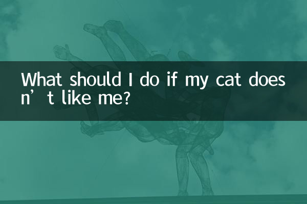 Was soll ich tun, wenn meine Katze mich nicht mag?