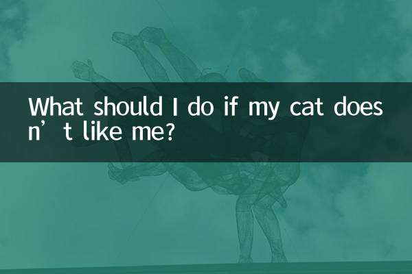 अगर मेरी बिल्ली मुझे पसंद नहीं करती तो मुझे क्या करना चाहिए?