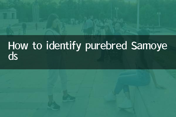 शुद्ध नस्ल के समोएड्स की पहचान कैसे करें