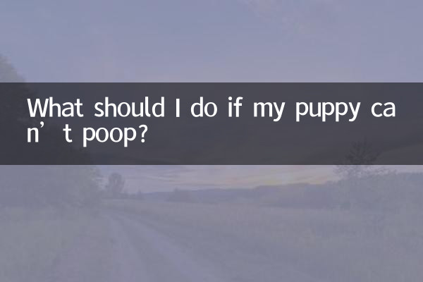 اگر توله سگم نتواند مدفوع کند چه باید بکنم؟