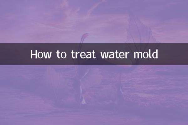 كيفية علاج العفن المائي