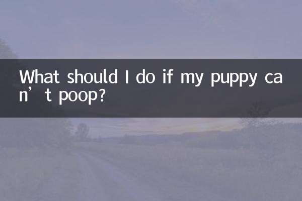幼犬拉不出屎怎麼辦