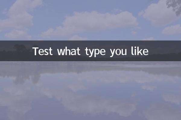 당신이 어떤 유형을 좋아하는지 테스트해보세요