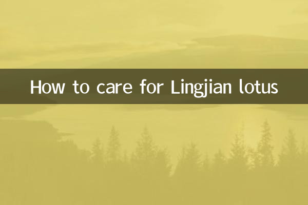 How to care for Lingjian lotus