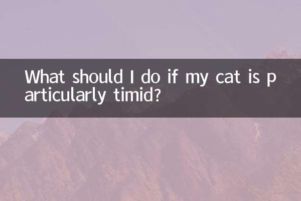 ¿Qué debo hacer si mi gato es especialmente tímido?