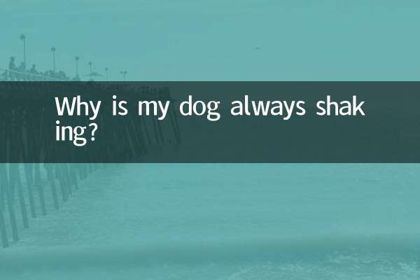 Por que meu cachorro está sempre tremendo?