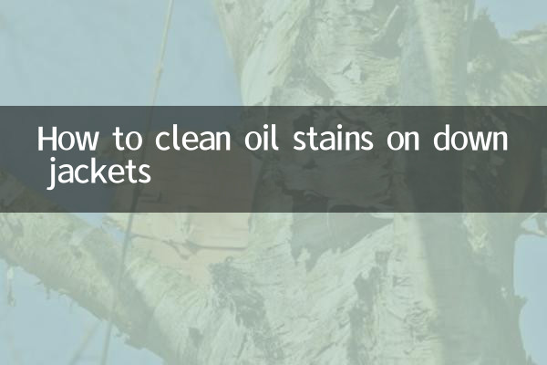 Как очистить масляные пятна на пуховиках