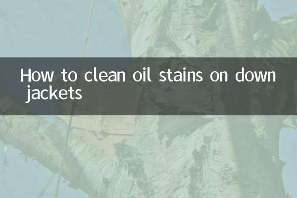 Cómo limpiar manchas de aceite en chaquetas de plumas
