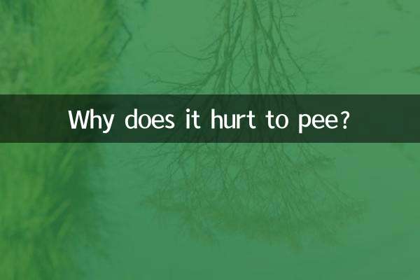 ¿Por qué duele orinar?