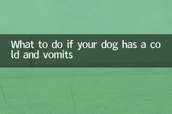 개가 감기에 걸려 구토를 한다면 어떻게 해야 할까요?