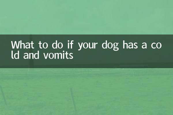 개가 감기에 걸려 구토를 한다면 어떻게 해야 할까요?