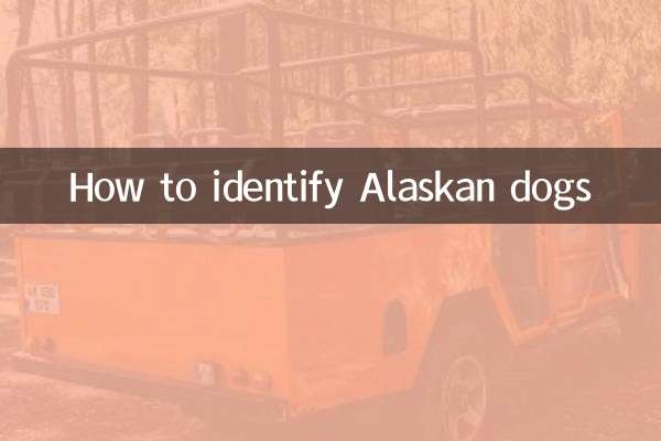 الاسکا کتوں کی شناخت کیسے کریں