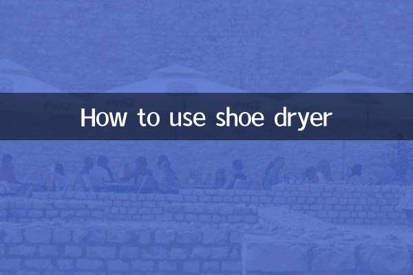 How to use shoe dryer