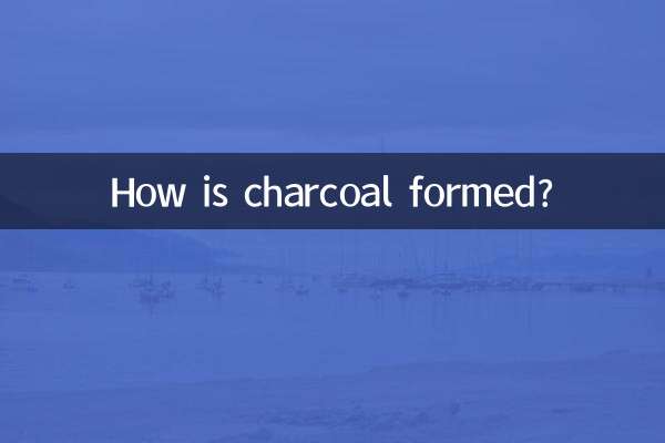 숯은 어떻게 형성되나요?