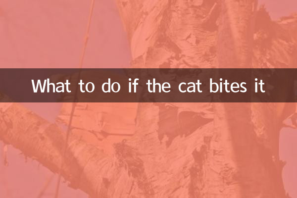 What to do if the cat bites it
