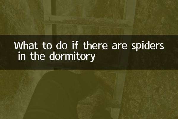 ডরমেটরিতে মাকড়সা থাকলে কী করবেন