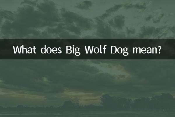 Cosa significa Grande Cane Lupo?