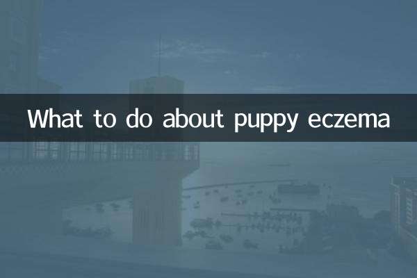 पिल्ला एक्जिमा के बारे में क्या करें?