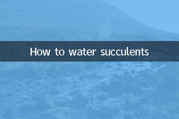 Wie man Sukkulenten gießt
