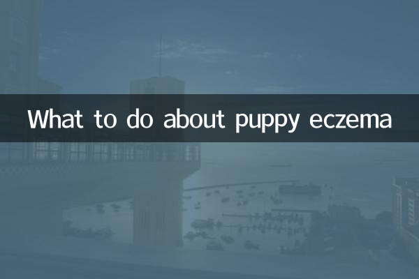 पिल्ला एक्जिमा के बारे में क्या करें?