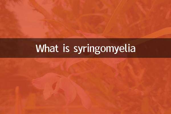 What is syringomyelia