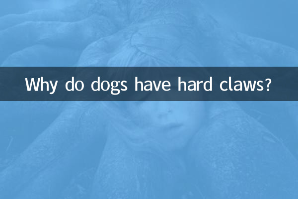 Why do dogs have hard claws?