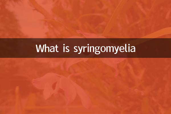 What is syringomyelia