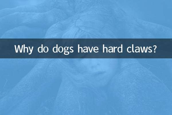 Why do dogs have hard claws?