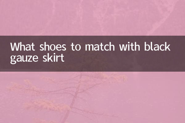 Quelles chaussures correspondent à la jupe de gaze noire