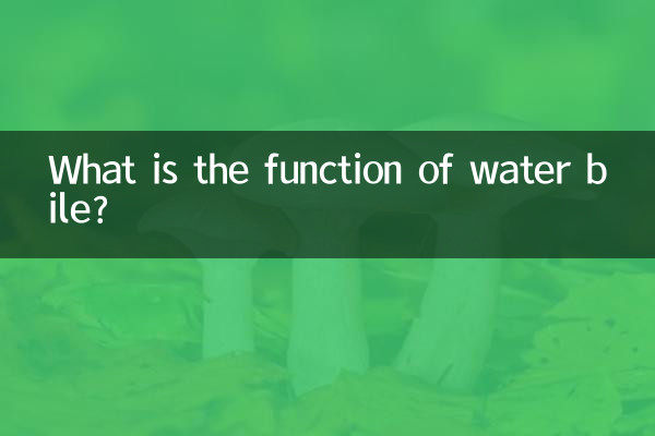 জলের পিত্তের কাজ কী?