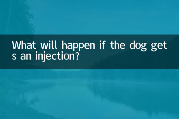 What will happen if the dog gets an injection?