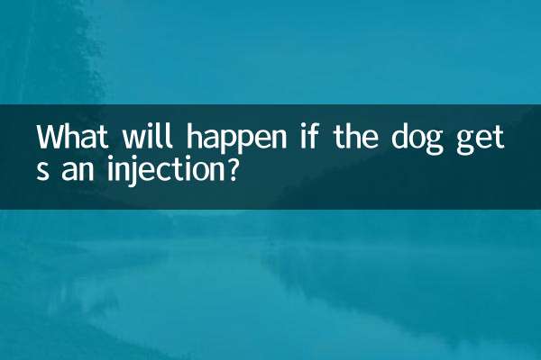 What will happen if the dog gets an injection?