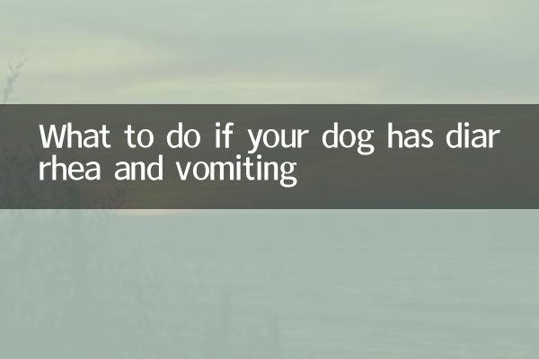 What to do if your dog has diarrhea and vomiting
