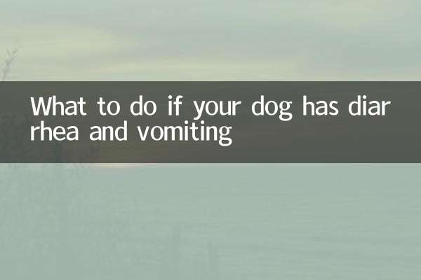 What to do if your dog has diarrhea and vomiting