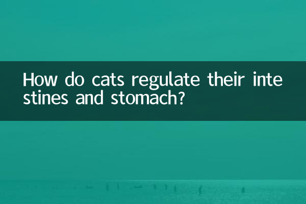¿Cómo regulan los gatos sus intestinos y estómago?