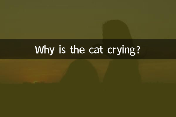 Perché il gatto piange?